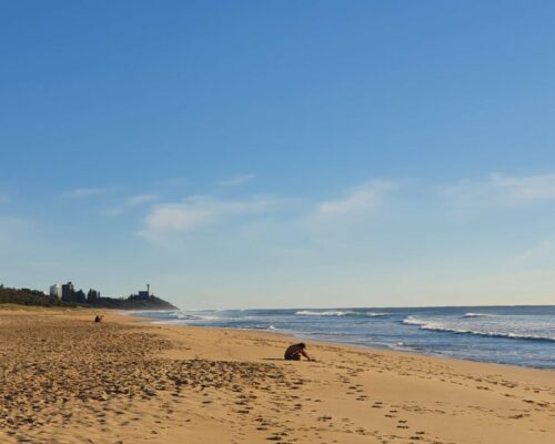 Buddina-Kawana-sunshine-coast (31)